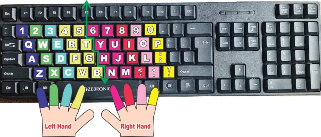 Typing Test Finger function